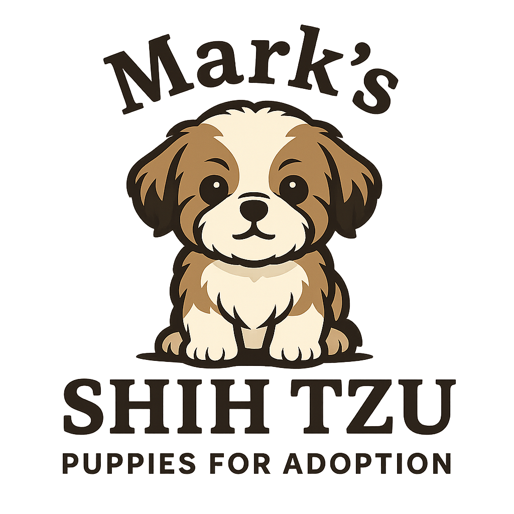 Mark’s Shih Tzu Puppies For Adoption