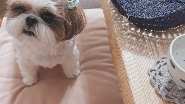 photo_2025-12-01_01-52-49