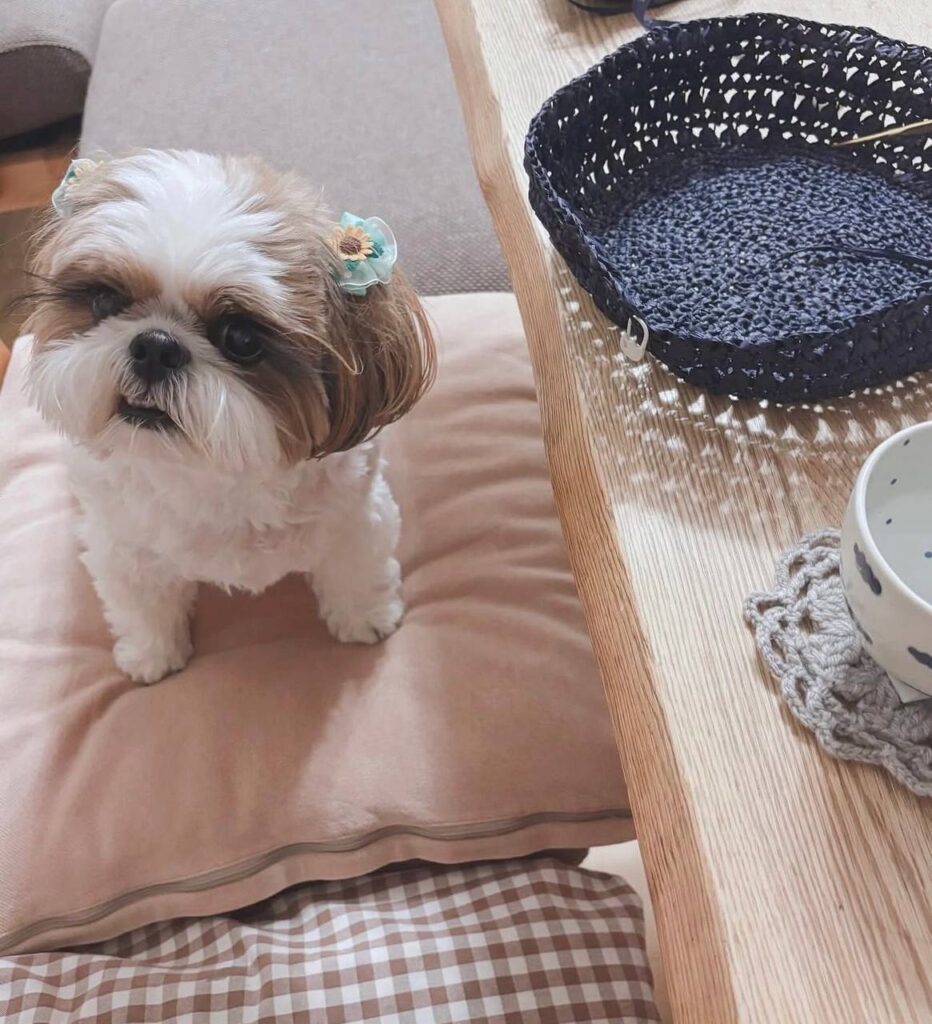 photo_2025-12-01_01-52-49