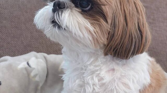 photo_2025-12-01_01-52-50