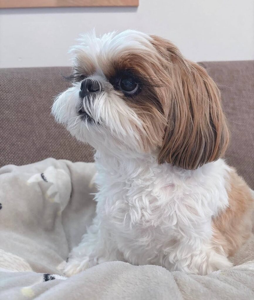 photo_2025-12-01_01-52-50