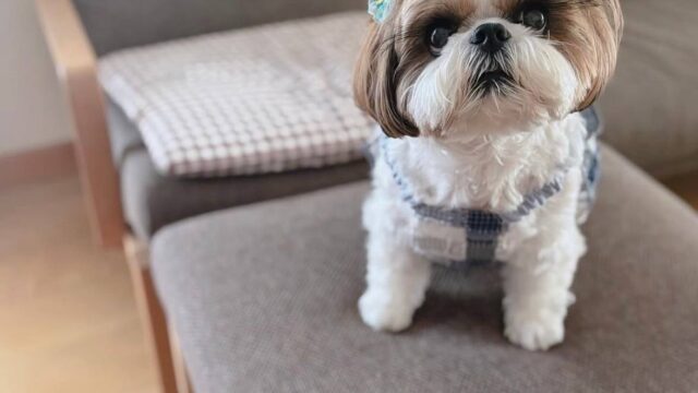 photo_2025-12-01_01-52-51