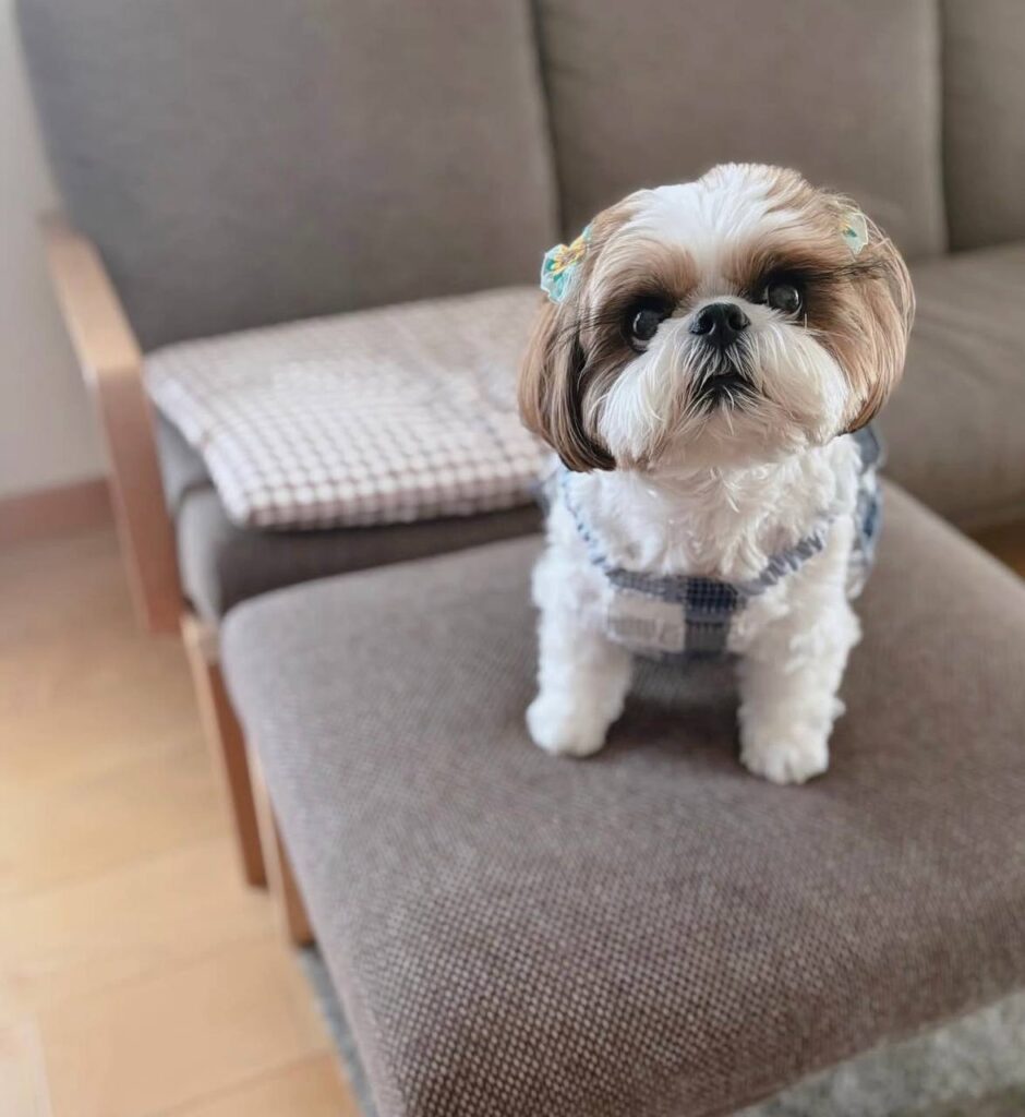 photo_2025-12-01_01-52-51