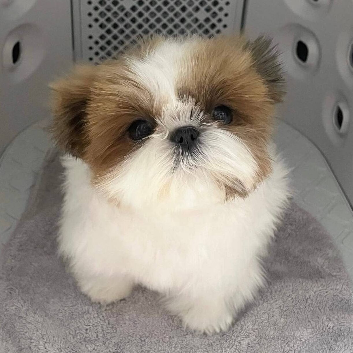 photo_2025-12-01_01-52-51