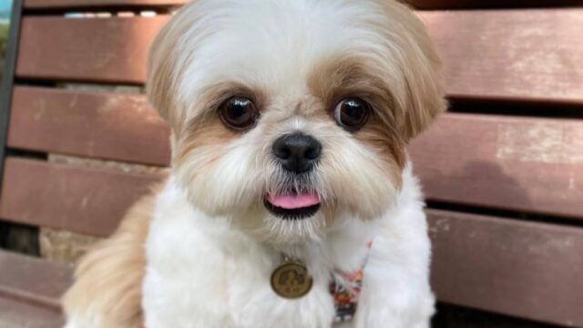 photo_2025-12-01_01-55-10