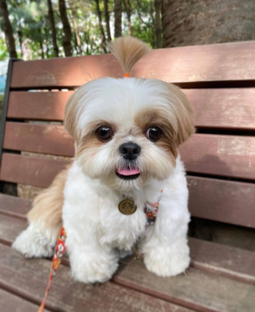 photo_2025-12-01_01-55-10