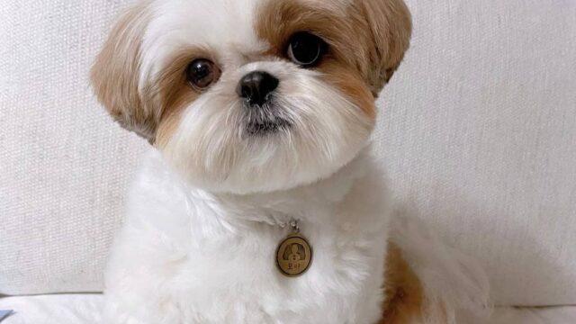 photo_2025-12-01_01-55-11