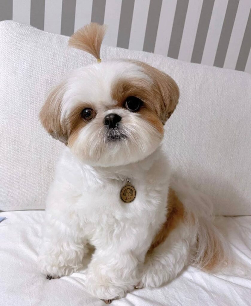 photo_2025-12-01_01-55-11