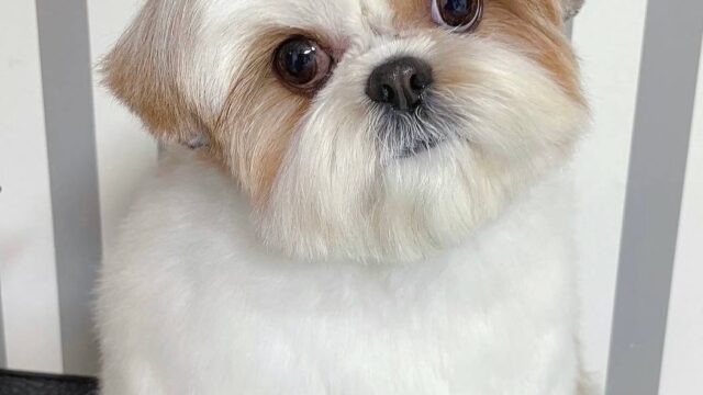 photo_2025-12-01_01-55-12