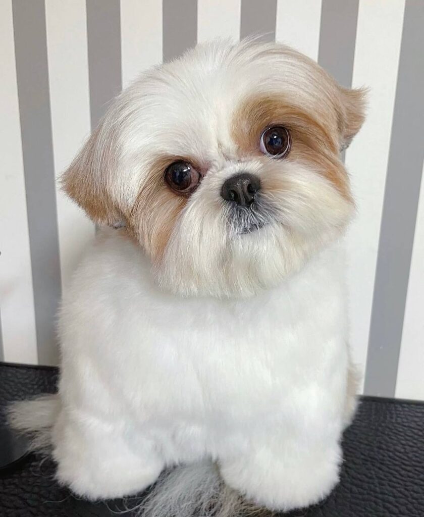 photo_2025-12-01_01-55-12