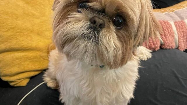 photo_2025-12-01_01-55-56