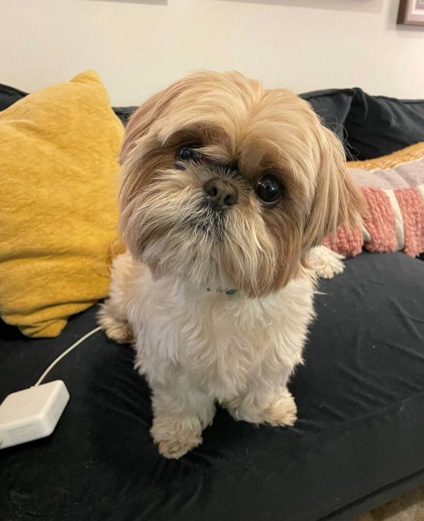 photo_2025-12-01_01-55-56