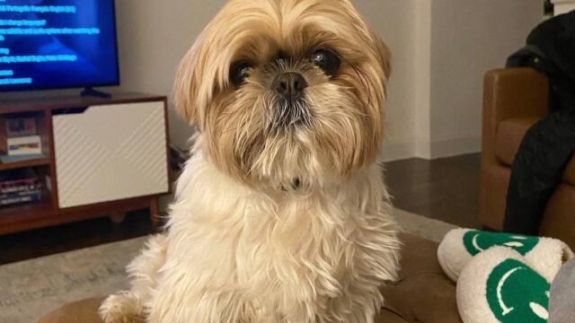 photo_2025-12-01_01-55-57