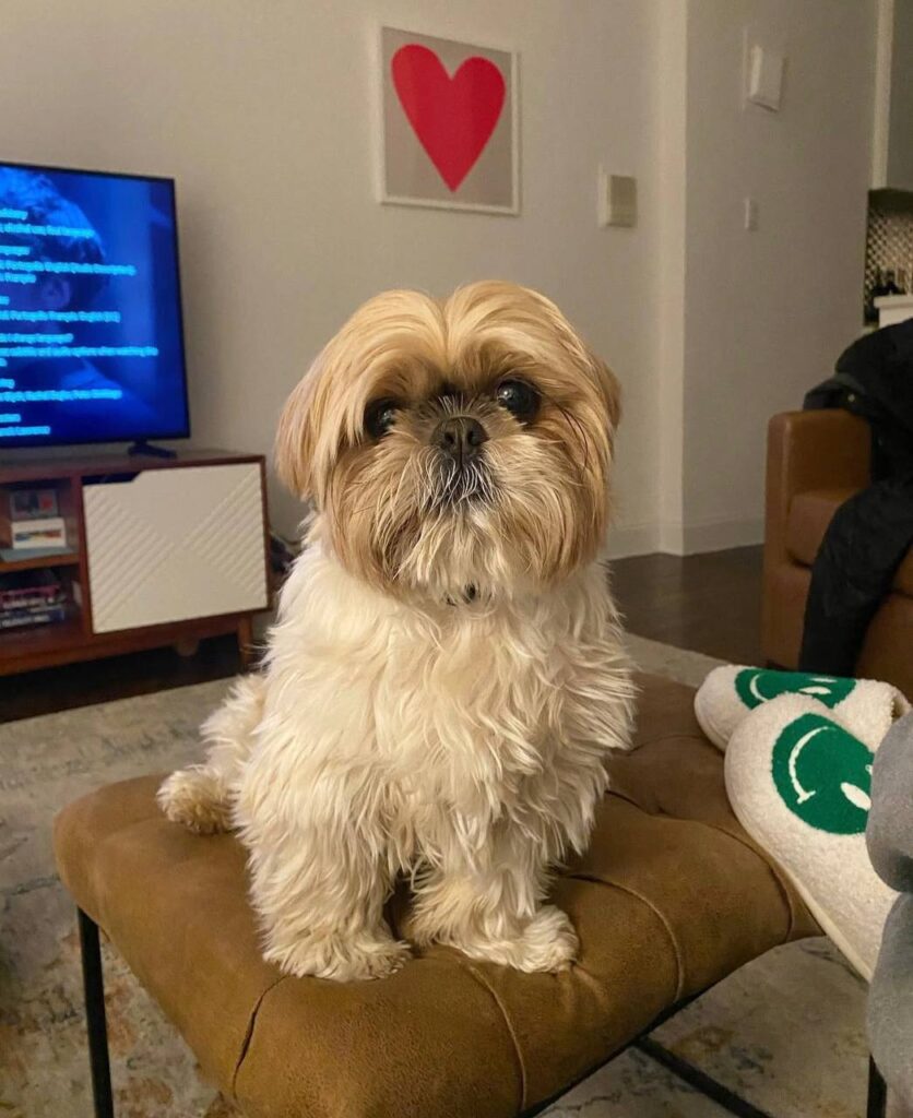 photo_2025-12-01_01-55-57