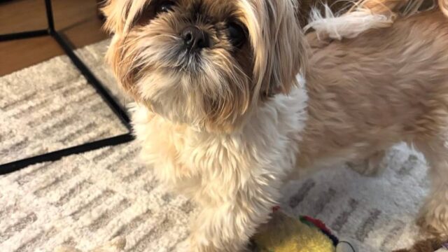 photo_2025-12-01_01-55-58