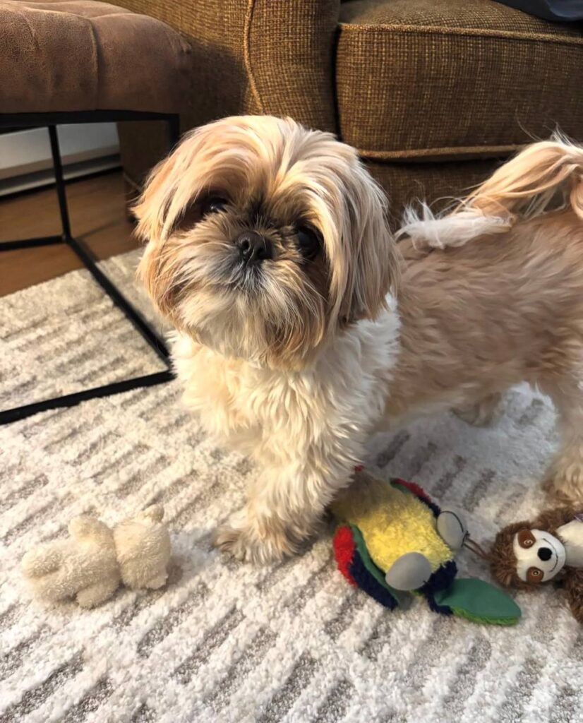 photo_2025-12-01_01-55-58