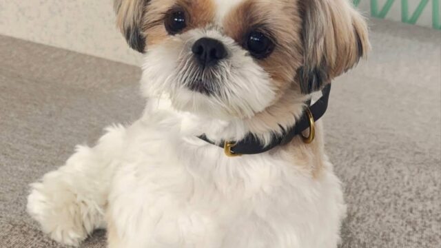 photo_2025-12-01_01-56-22