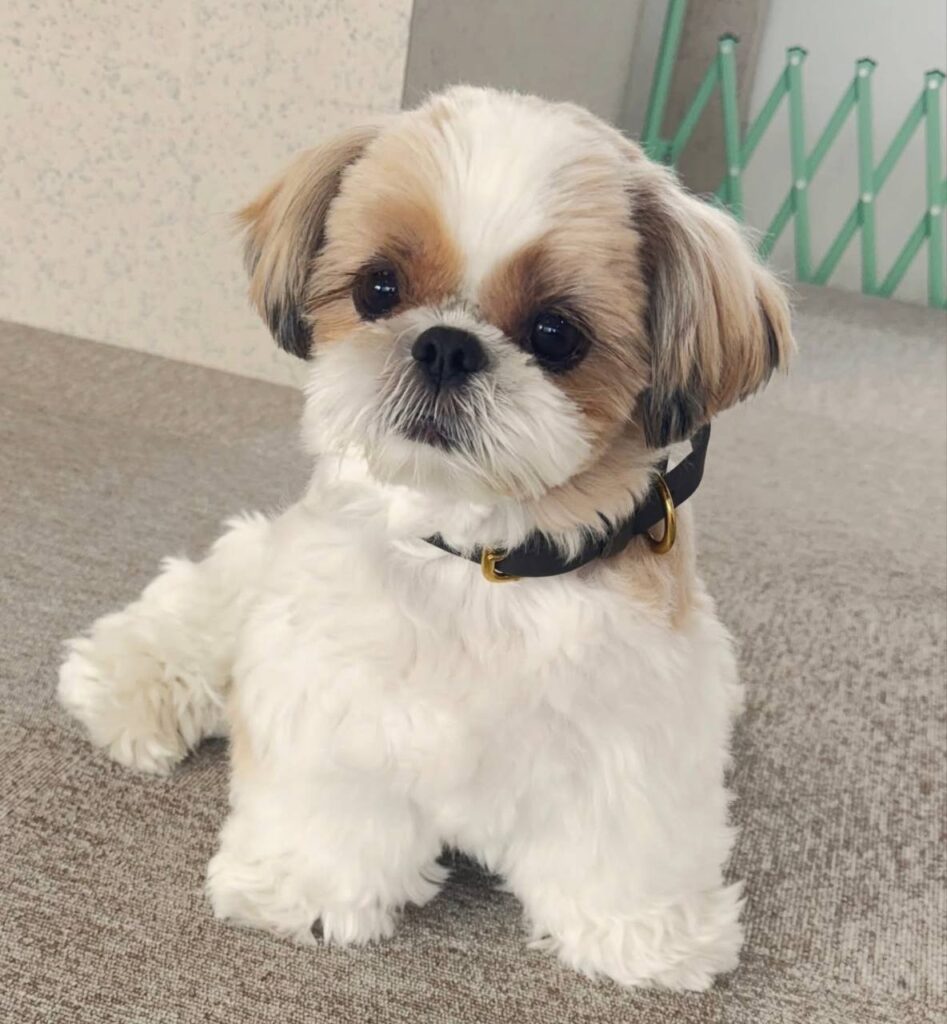 photo_2025-12-01_01-56-22