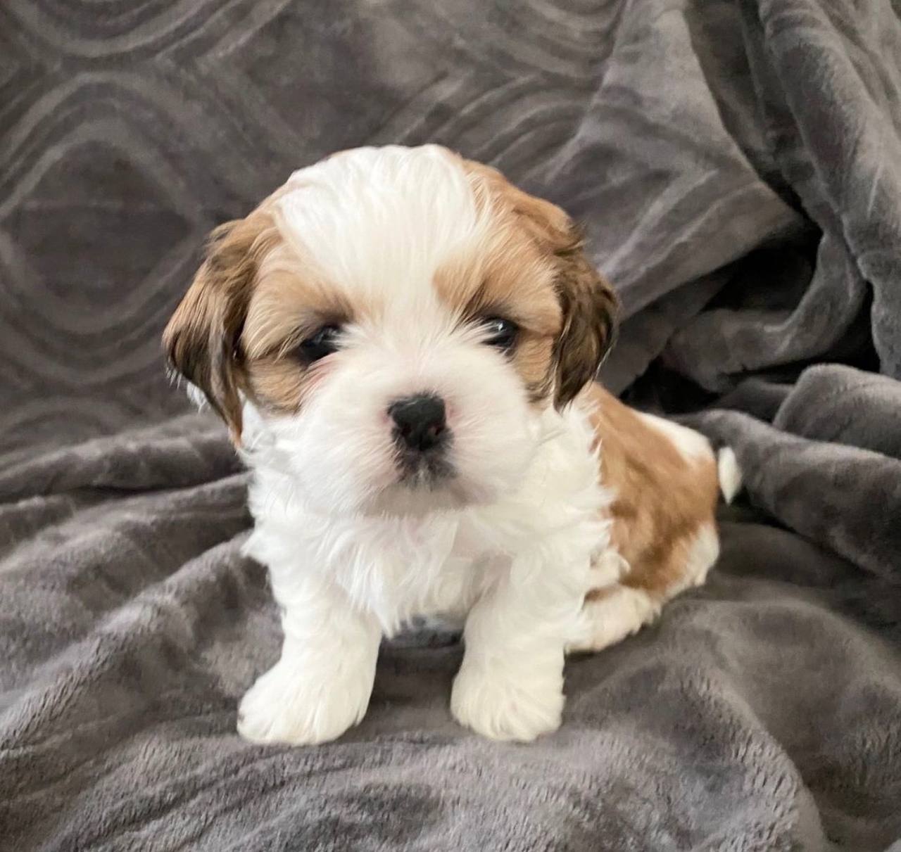 photo_2025-12-01_01-56-22