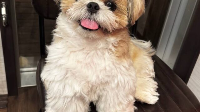 photo_2025-12-01_01-56-23