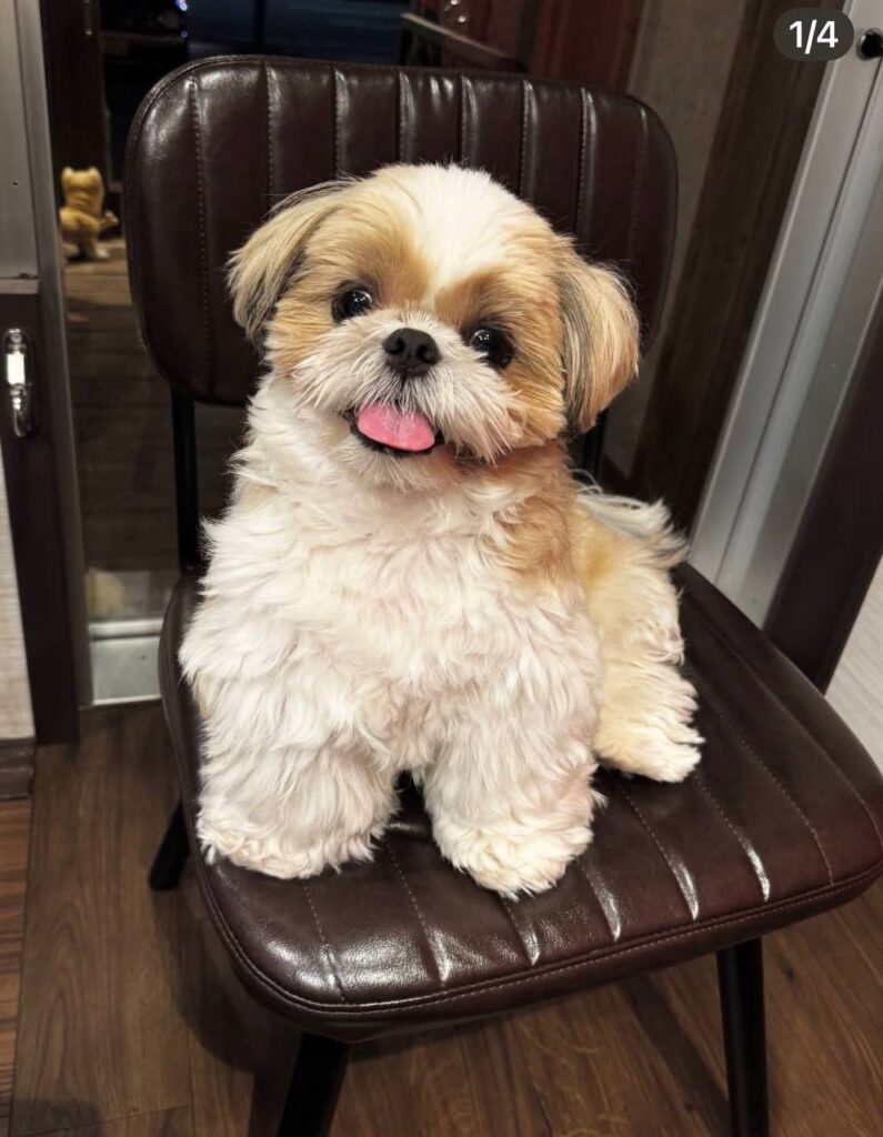 photo_2025-12-01_01-56-23