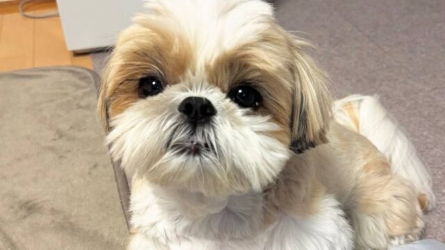 photo_2025-12-01_01-56-24