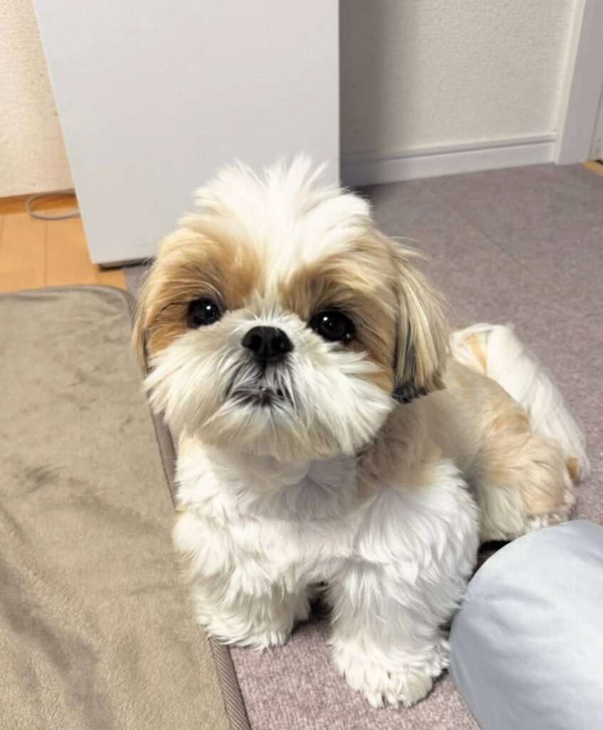 photo_2025-12-01_01-56-24