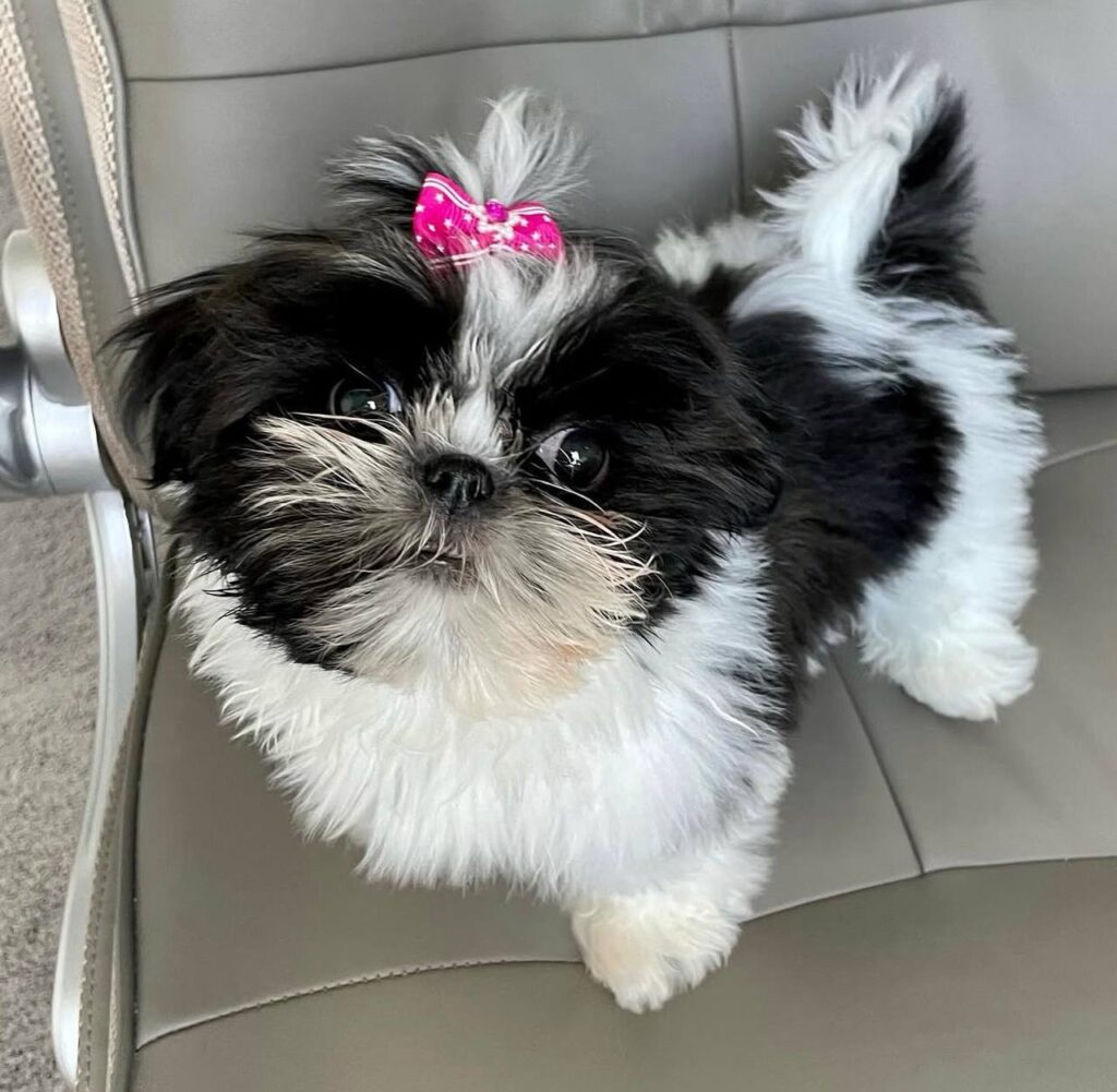 photo_2025-12-01_01-57-26