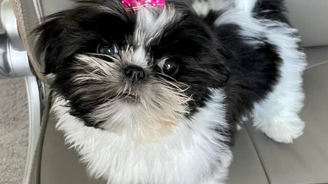 photo_2025-12-01_01-57-26