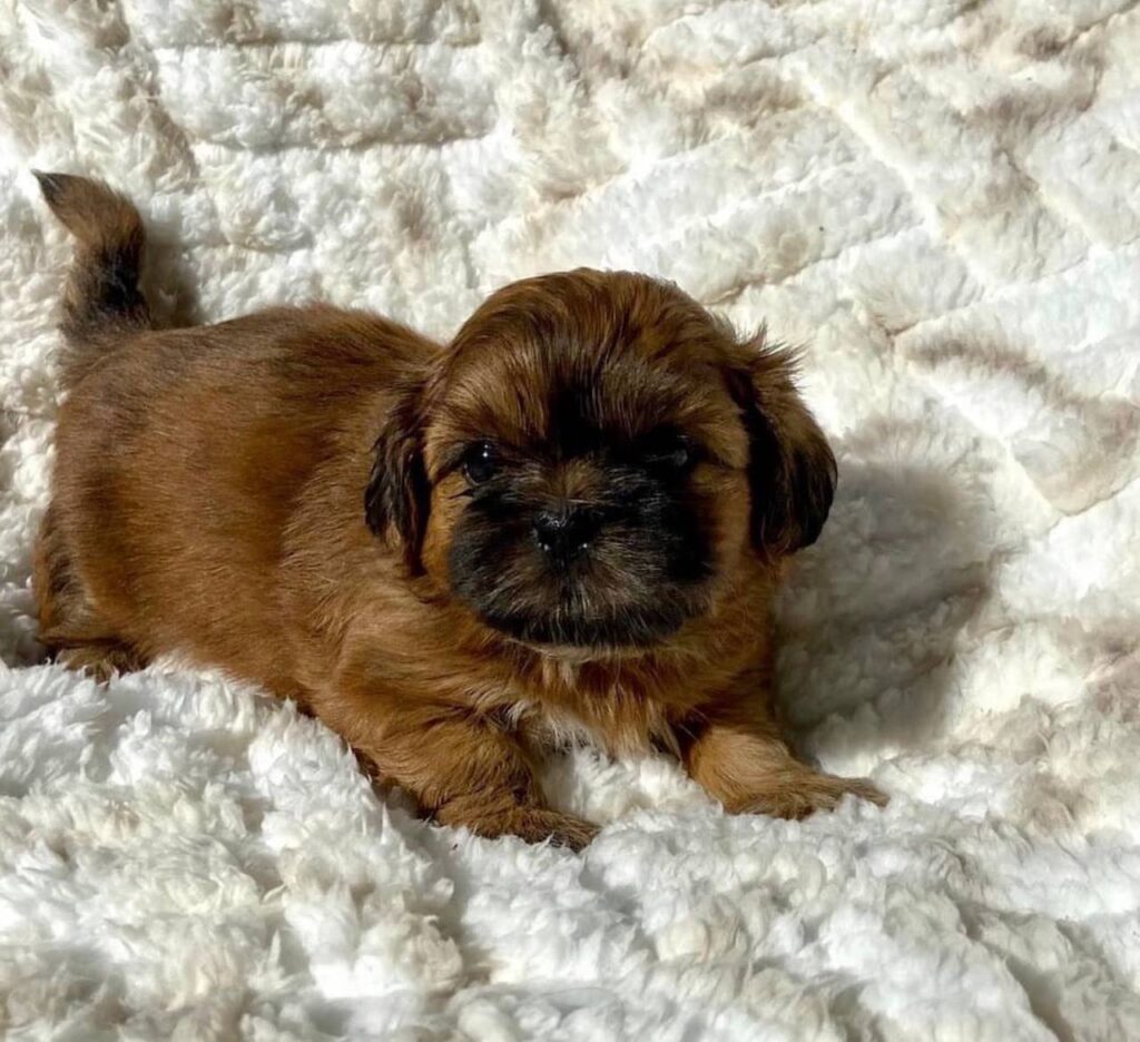 photo_2025-12-01_01-57-26