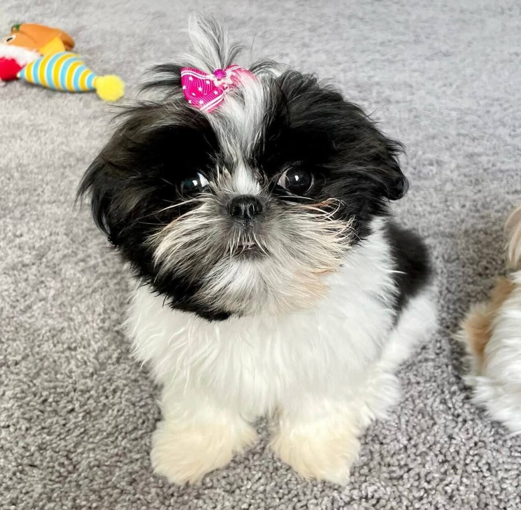 photo_2025-12-01_01-57-27