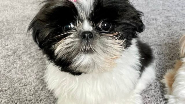 photo_2025-12-01_01-57-27