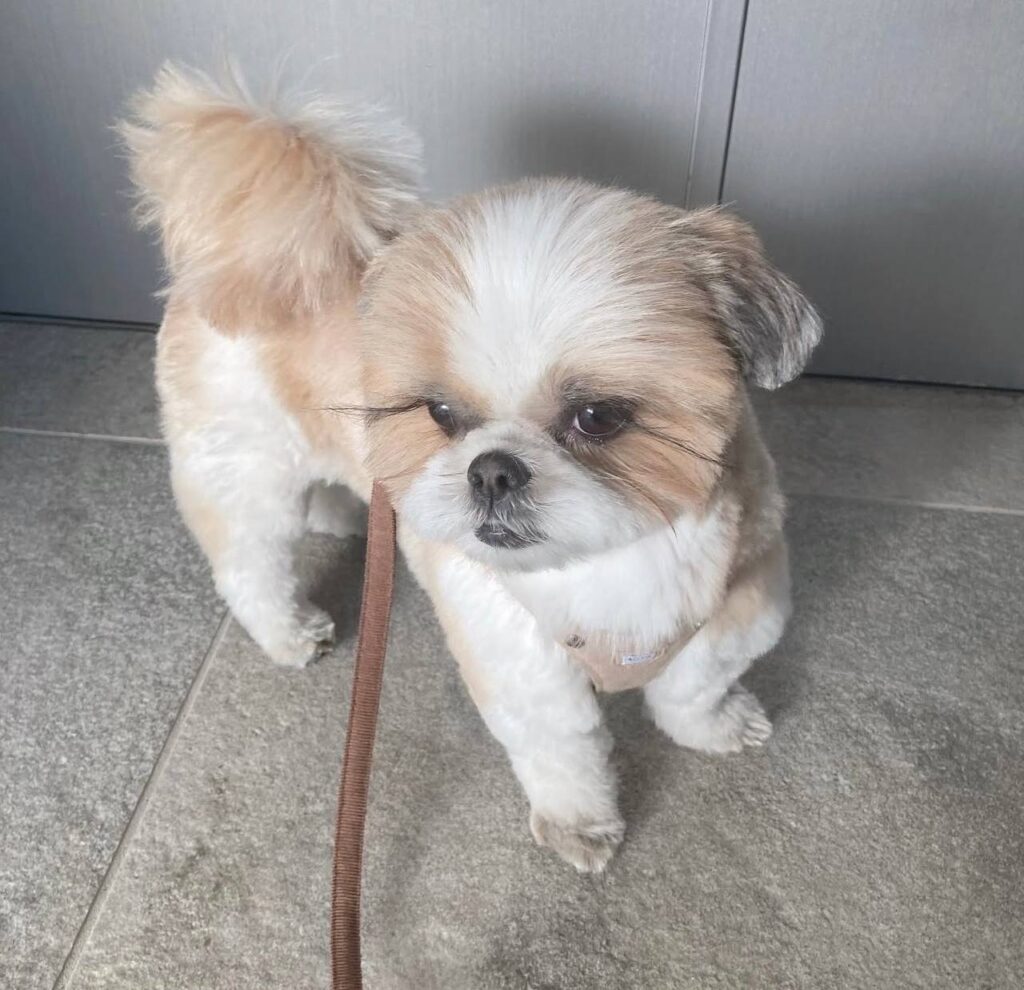 photo_2025-12-01_01-58-55