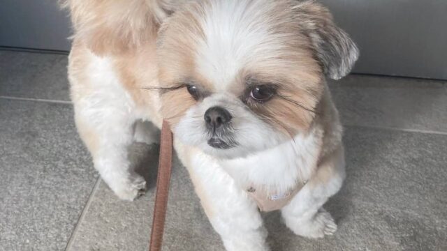 photo_2025-12-01_01-58-55