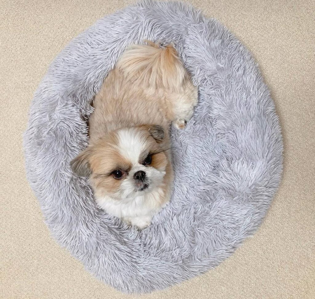 photo_2025-12-01_01-58-57