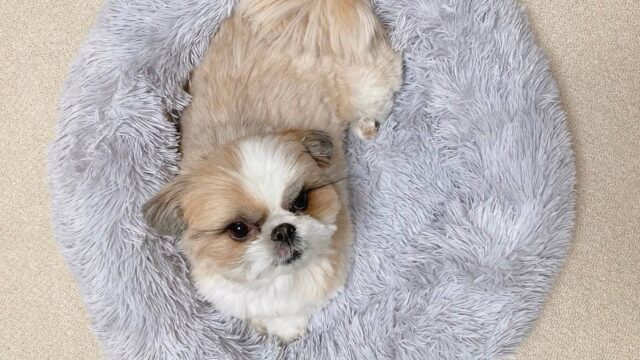 photo_2025-12-01_01-58-57