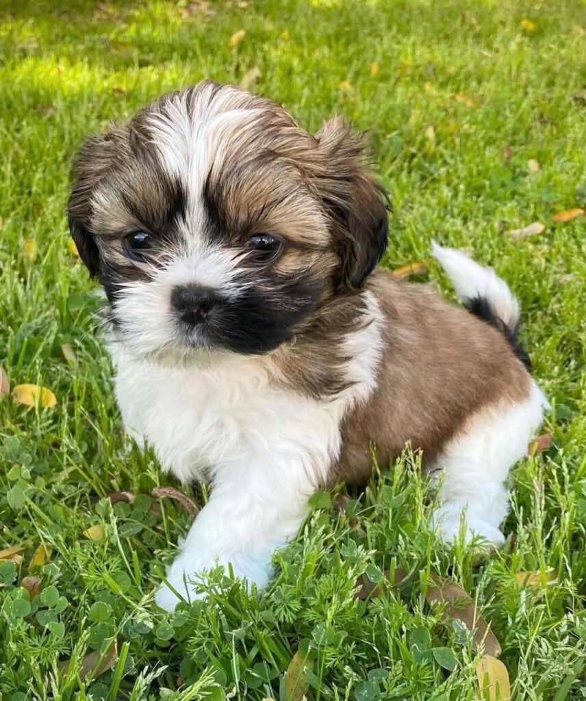 photo_2025-12-01_01-58-59