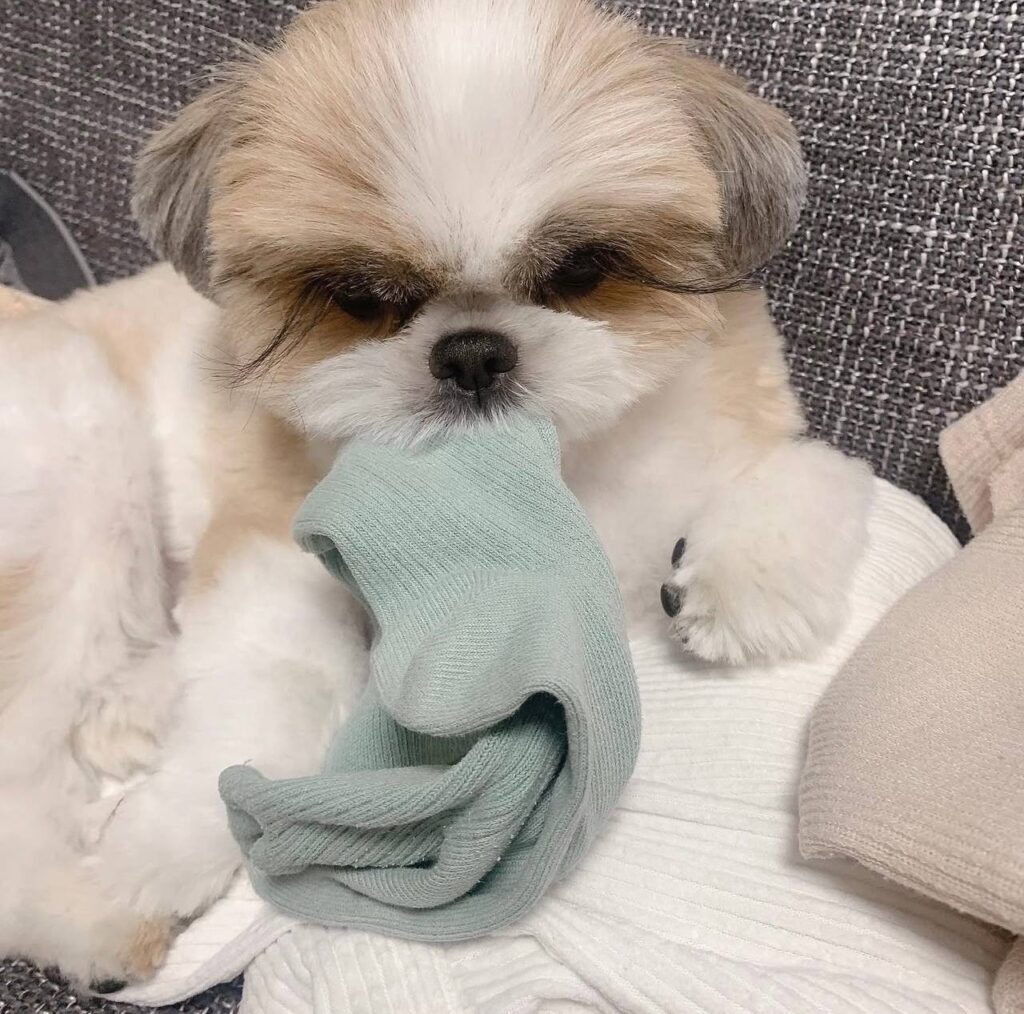 photo_2025-12-01_01-58-59