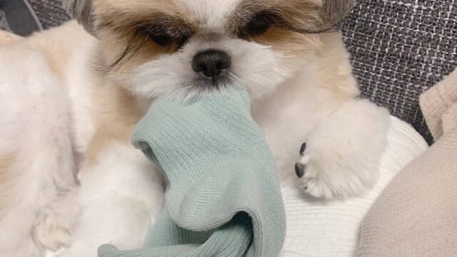 photo_2025-12-01_01-58-59