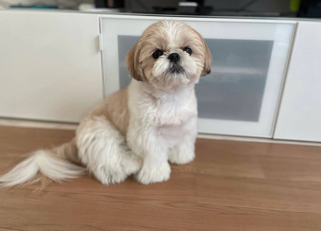 photo_2025-12-01_02-00-07