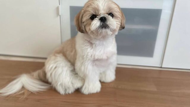 photo_2025-12-01_02-00-07