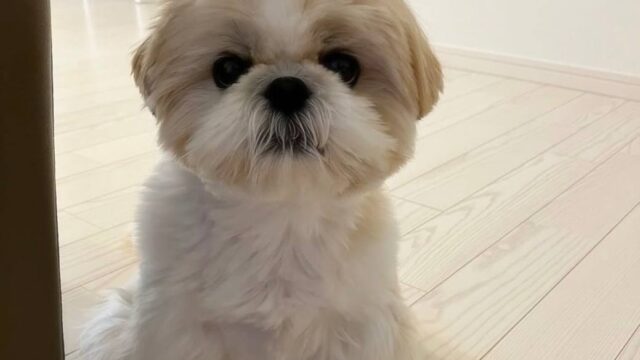 photo_2025-12-01_02-00-10