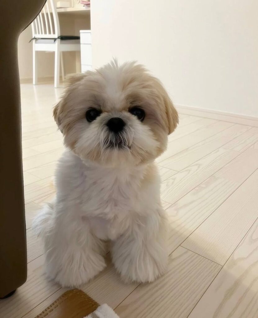 photo_2025-12-01_02-00-10