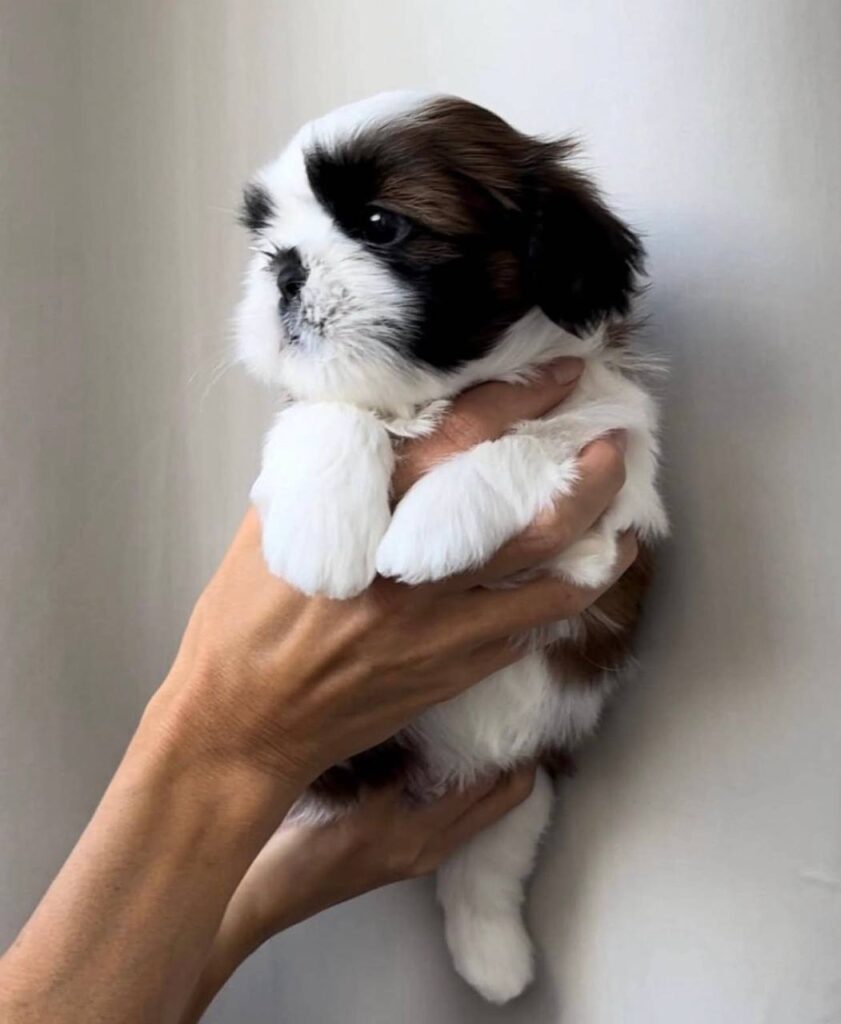 photo_2025-12-14_23-09-30